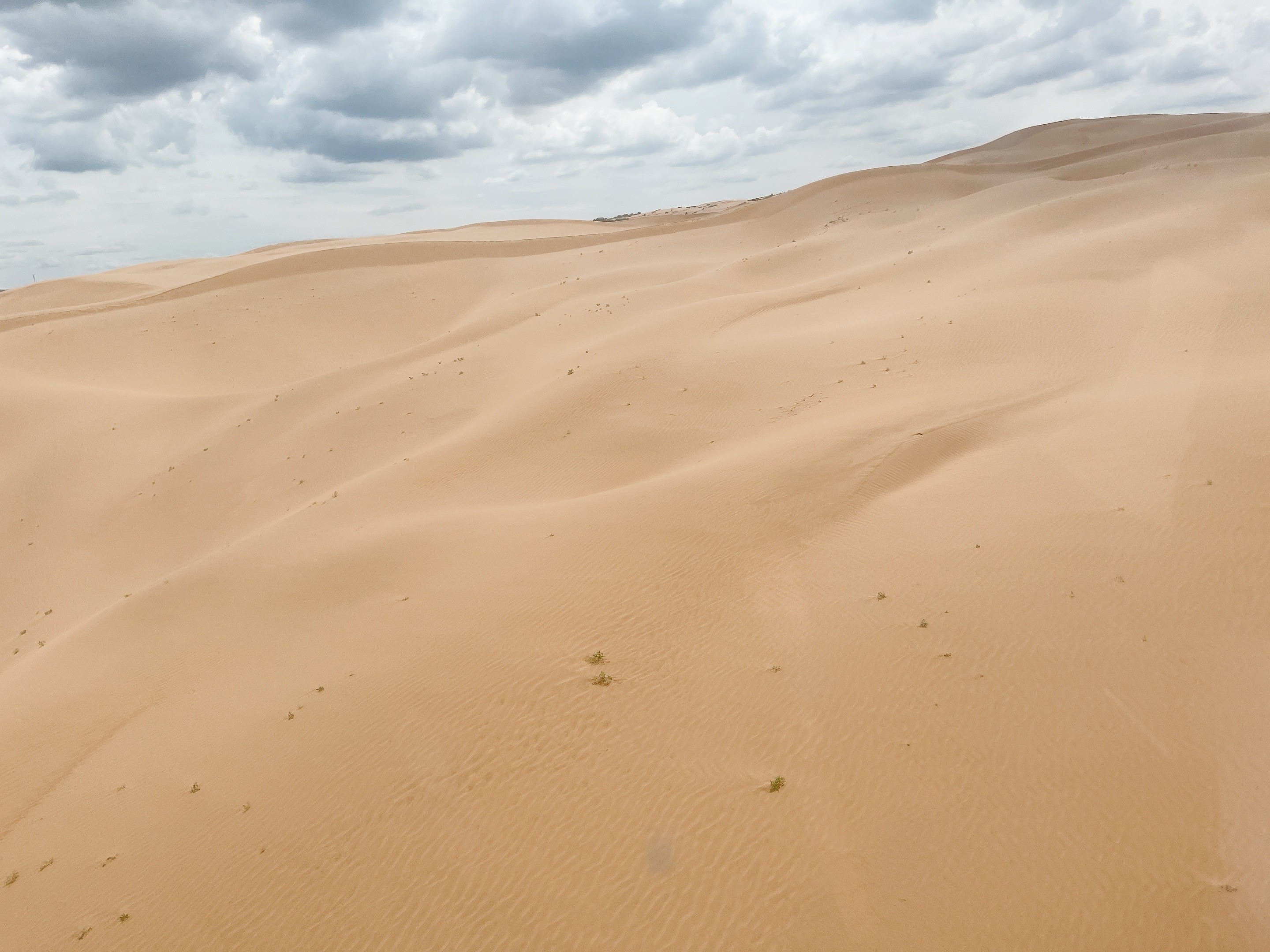 1628249846320572.jpg 圖片關(guān)鍵詞